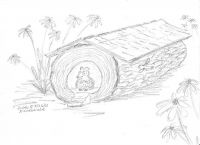 My Little Log Cabin